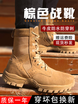 Lowa official flagship new combat training boots mens combat boots ultra-light breathable waterproof mountaineering boots outdoor training tactics