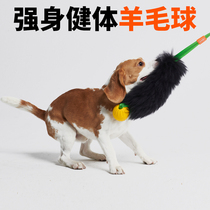 HOWGO Dog Toy Ball Large Dog Labrador Bite Resistant Rubber Artifact Small Pet Walking Dog Teeth Grinding Supplies