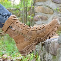 New brown combat training boots for men ultra-light waterproof anti-puncture summer breathable side zipper cowhide high-top desert boots