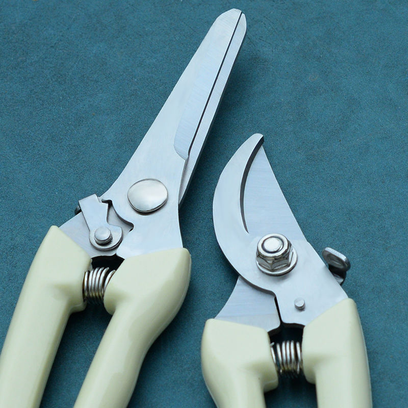 Gardening pruning shears Stainless steel flower fruit picking special floral fruit tree coarse branch scissors Household garden scissors