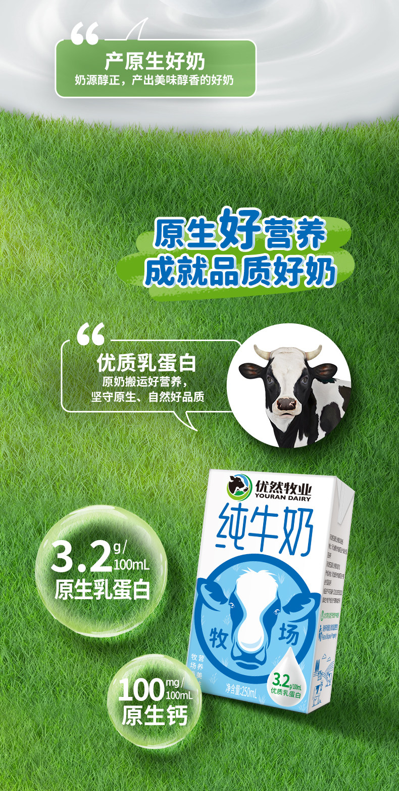 安享好物 安享B级纯奶-优然纯牛奶  国标 