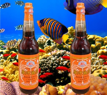 1 serving 2 bottles of Chaoshan premium original fish sauce seasoning for home commercial pickles special shrimp oil Shantou specialty