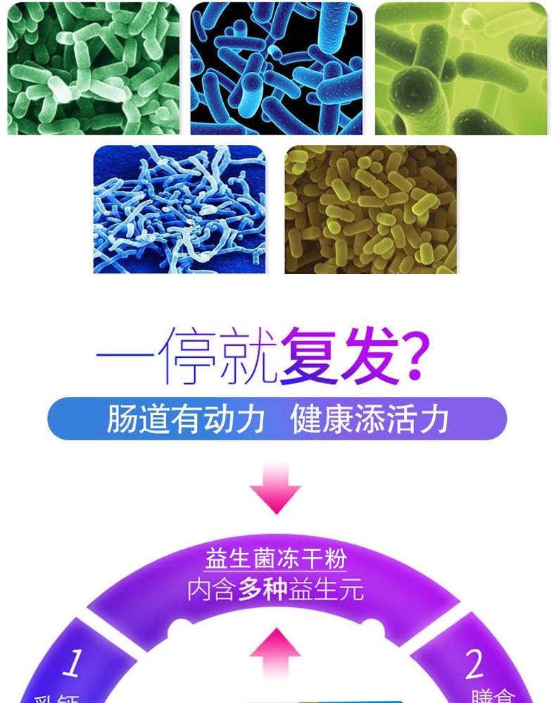 男女通用肠胃肠道益生元冻干粉