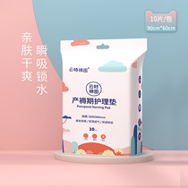 Maternity confinement puerperium mat postpartum special nursing pad disposable bed sheet large menstrual urine pad 10 pieces