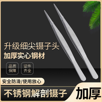 Stainless Steel pointed forceps laboratory slide sample sampling forceps medical surgical dissection forceps 12 5cm-20cm