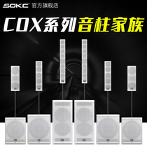 SOKC Tianma audio COX series sound column speaker Home conference room stage performance audio multi-function speaker