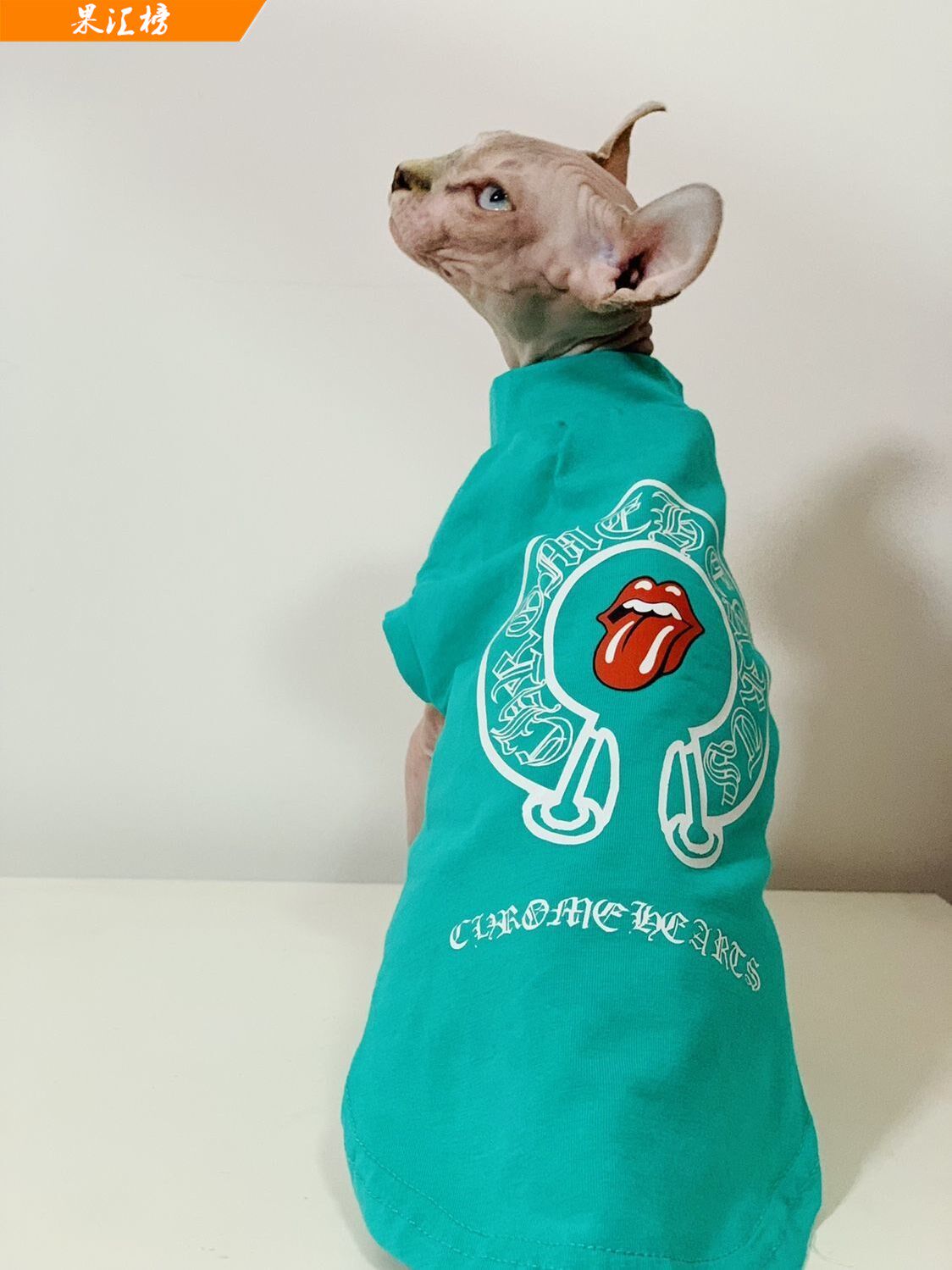 Kitty clothes Summer Finxless cat Devon thin and sleeveless breathable printed green orange clothes Pet-Taobao