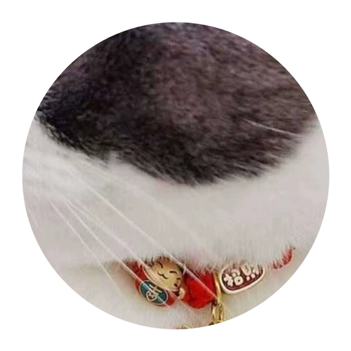Кошачья кошка, кошка, кошачья шейка, украшения для питомца, кольцо для котенок, кольцо с голубым кошками кольцо для собаки.