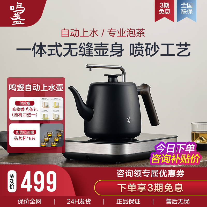 Brewed tea boiling tea boiling kettle Kettle Tea Special Fully Automatic Water Electric Kettle Home Health Care Cooking Teapot
