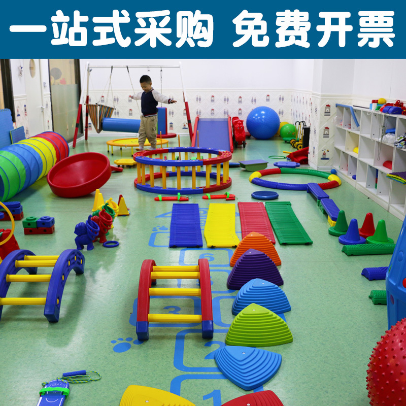 Sensory Integration Training Equipment for Children, a Complete Set of Early Education Toys for Toddlers, Indoor Physical Exercise, Sensory Integration Teaching Aids Combination