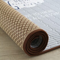 Xinjiang Summer Days Ice Silk Rug Carpet Living Room Tatami Floating Window Dorm Room Cool Mat Day-Style Baby Crawl