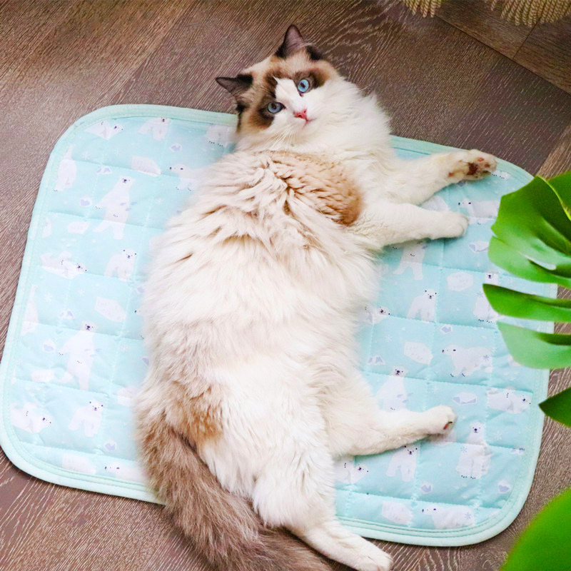 Pet Mat Summer Sleeping Mat All Season Universal Dog Mat Cat cool cushion Large and medium dog Anti-slip anti-bite ground mat