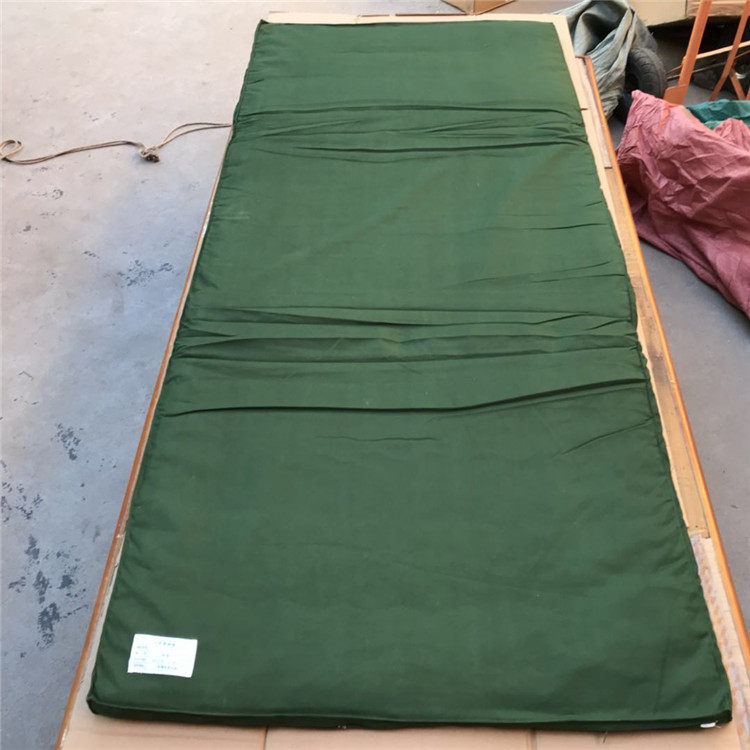 Genuine green cotton cushion hot-melt cotton liner Warm Dormitory Students Single Mattress-Taobao
