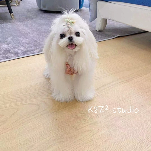 Импортная радужная заколка для волос ручной работы с бантиком