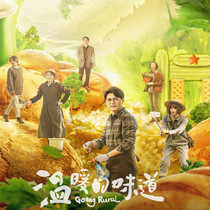 Rural hit TV series warm taste Sun Guangming downtown DVD disc disc Jin Dong
