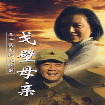 Remarkable TV series CD - ROM Gobi Mother DVD disc Liu Jia Gang