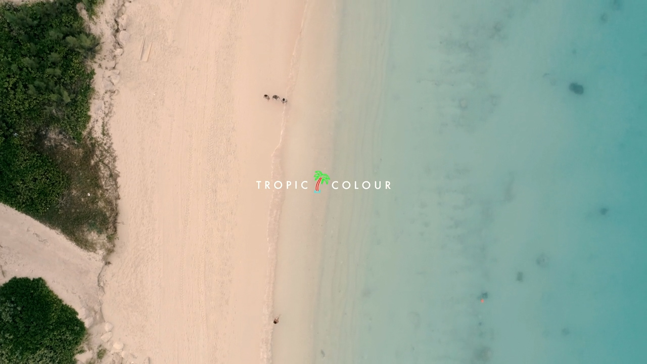 Beaches, Waves, Water Aerial (Stock Footage Exampl.jpg