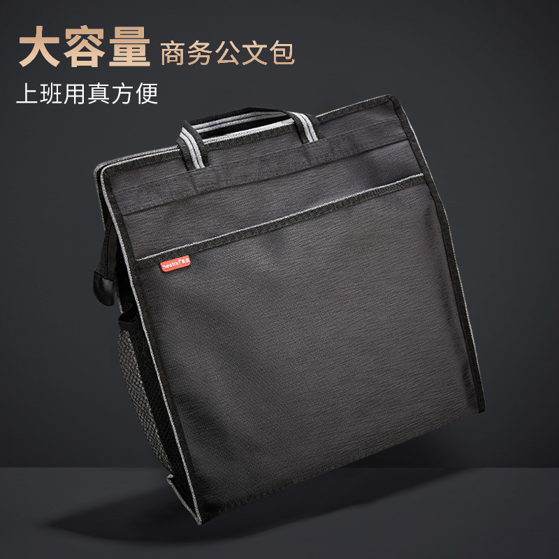 professional bags for females