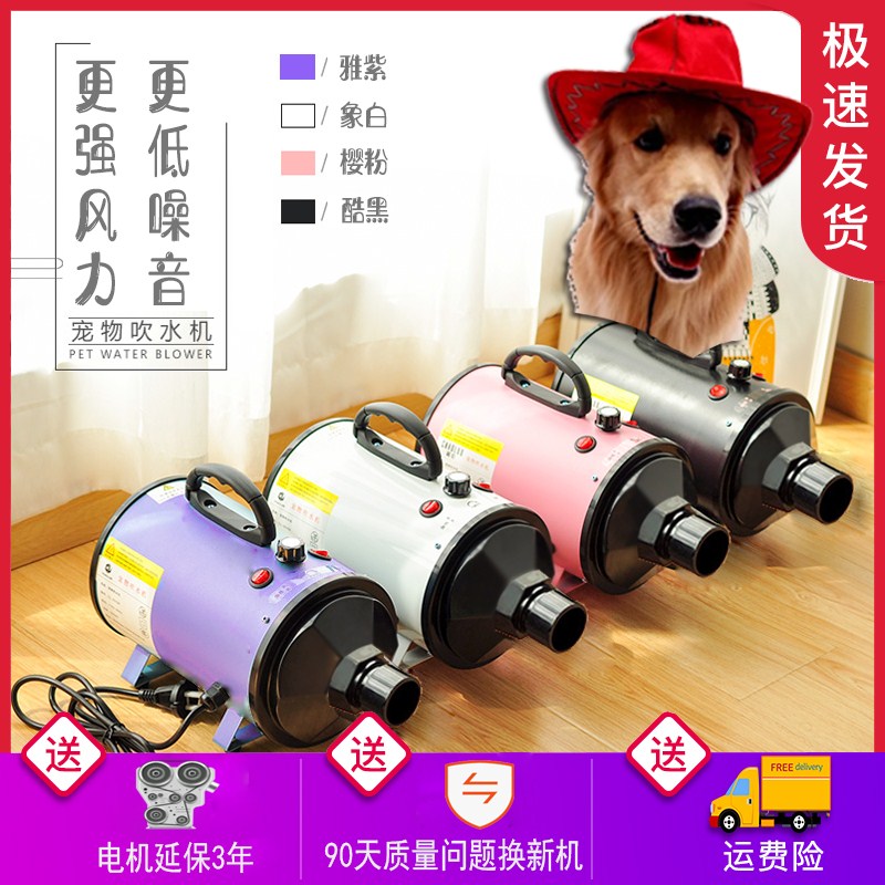 Pet Hair Dryer High Power Hairdryer Teddy Gold Hair Dryer Large Dog Blower In Large Dog Hair Dryer