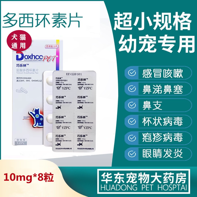 Chocolate of doxia cyclic acid 10mg cat nose branch therapy for cotton cough special effect drug choolin