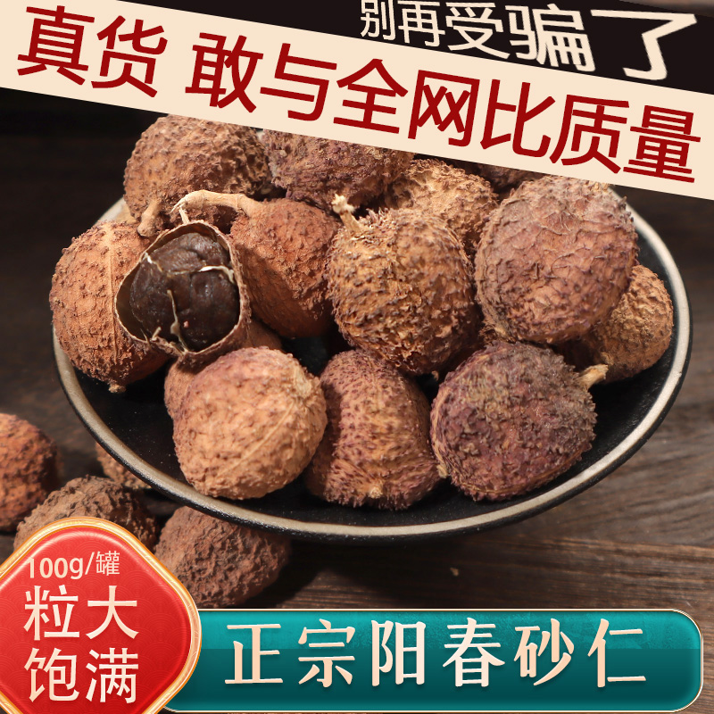 (Export Grade) Zhengzong Chunchun Chunchun Sanxurenyang Chunte to produce wild Guangdong Songren Traditional Chinese Medicine Nourishing Stomach 100g-Taobao