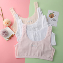 Student development period pure cotton underwear junior high school students double-layer cotton anti-button wrapped chest small vest female thin bra