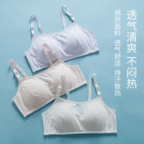 New girls in the development of girls bra girls in the development period of small vest girls school pupils junior high school pure cotton children underwear summer