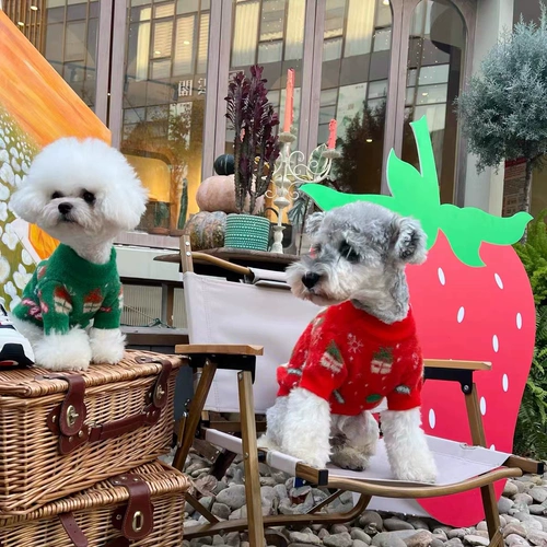 Одежда для домашних собак осень и зимний рождественский свитер Сюенария Тедди Бомей Белль Медведь теплая новогодняя одежда