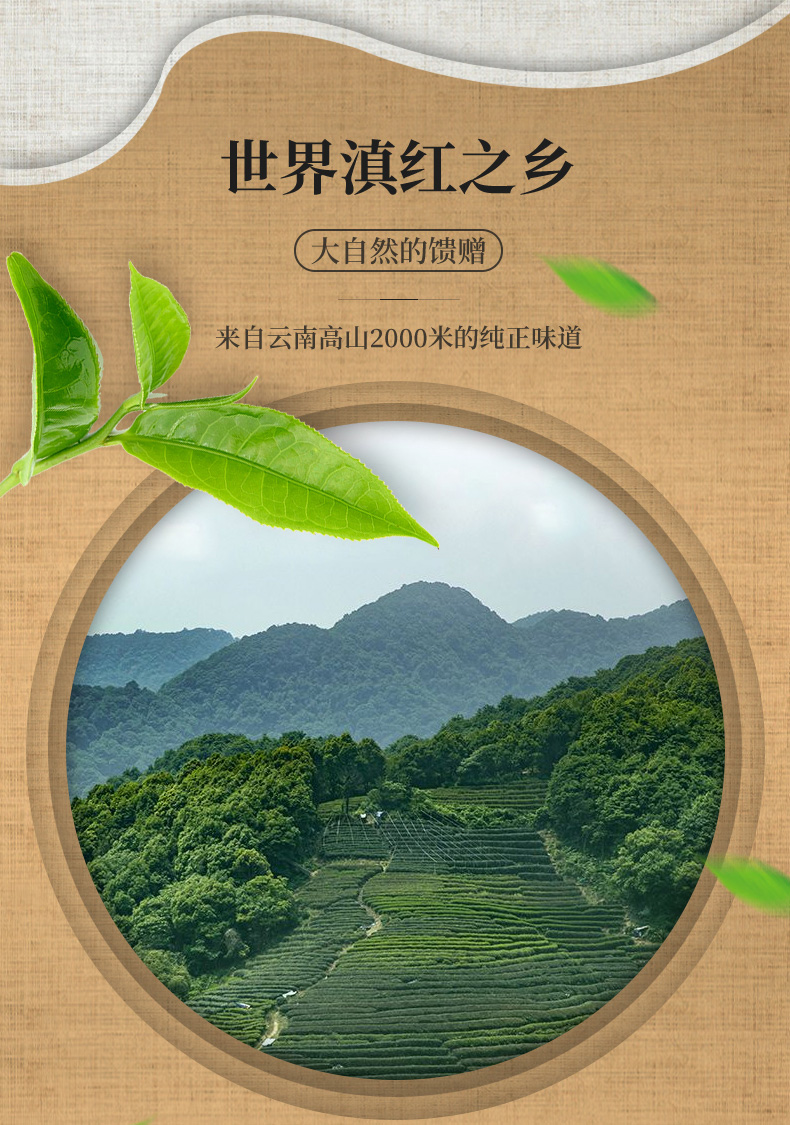 苏五福 云南滇红茶 特级凤庆大金针 125g*2罐 礼盒装 图8