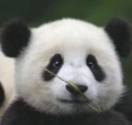针式打印机小店的LOGO