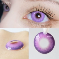 [Ежедневный тип броска] Dgu Liu Xin Purple 10 штук