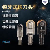 syat semicircular seismic cutter head shockproof threaded head WGR16 P3200 Walter fine milling ball cutter head WGR20