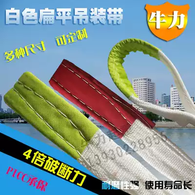 Lifting belt 1 2 3 5 tons Lifting lifting belt Acid-resistant sling Flat sling Nylon sling crane