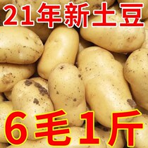 2021 new potatoes 10 pounds of sand potatoes Fresh farm-produced yellow potatoes potatoes 5 yellow hearts