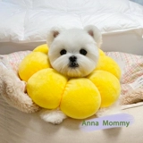 Кошачья тост Элизабет мягкий воротник кошачий кот Круглые круги солнечных цветочных животных вокруг шеи, чтобы предотвратить облизывание котята шеи