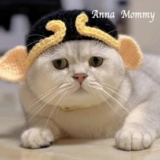 Свинья восемь колец