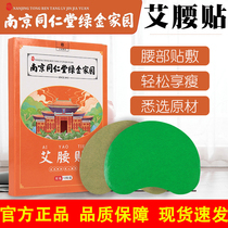 Ai waist stickers Nanjing Tongrentang Green Gold homeland beauty waist stickers Wormwood moxibustion hot compress stickers Weya recommends Zhang Jiani with the same style