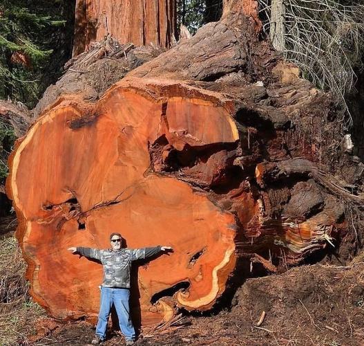 New Chinese Bahua solid wood large board tea table tea table log boss desk ebony rosewood mahogany clearance