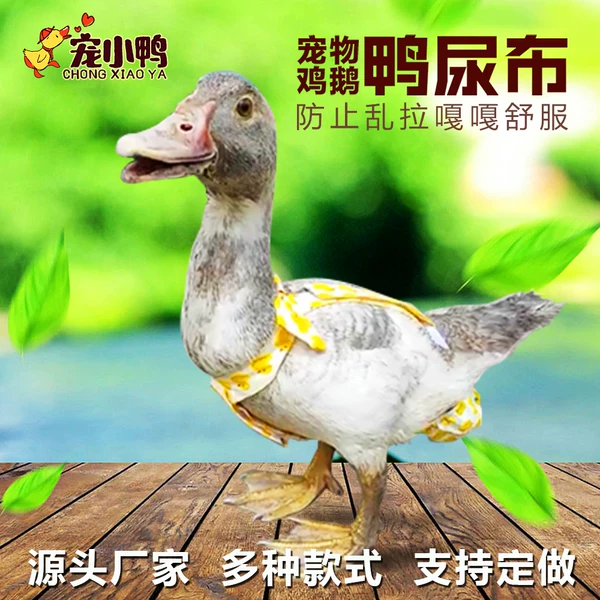 Товары от 宠物鸭鹅鸡用品