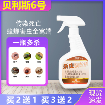 Xingning Ao Junbelis No. 6 House No. 6 Guiwei removes small flying insects on the bed with insecticides to drive moth and bugs