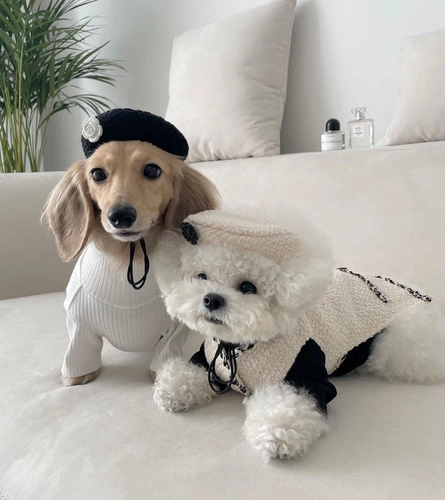 Брендовая демисезонная куртка без рукавов, жилет, в стиле Шанель