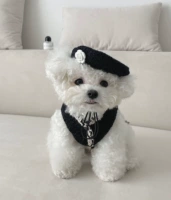 Черная шляпа (вся округа док -станции меньше 40 см) (исключая одежду)