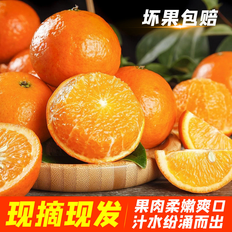 虎哥严选 正宗广西武鸣沃柑5斤 图3