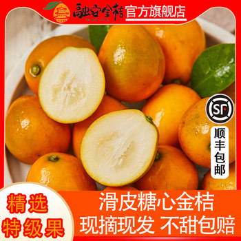 Guangxi rongan kumquat fresh fruit crispy and sweet