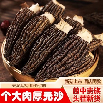 Matsutake Fresh and Dried Mushrooms, Ingredients for Soup, Matsutake Mushroom Ingredients, New Products for Home and Commercial Use, Available for Wholesale