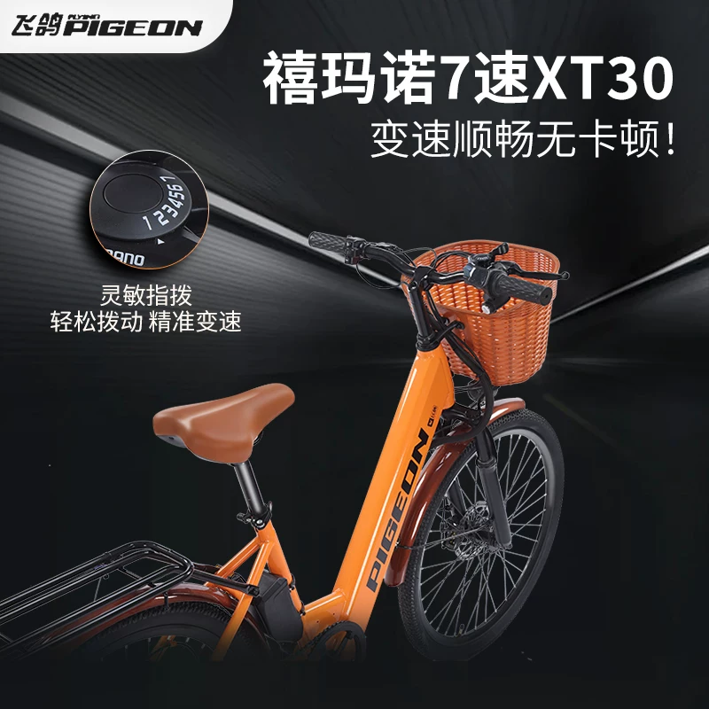 Electric electric car, moped for elderly