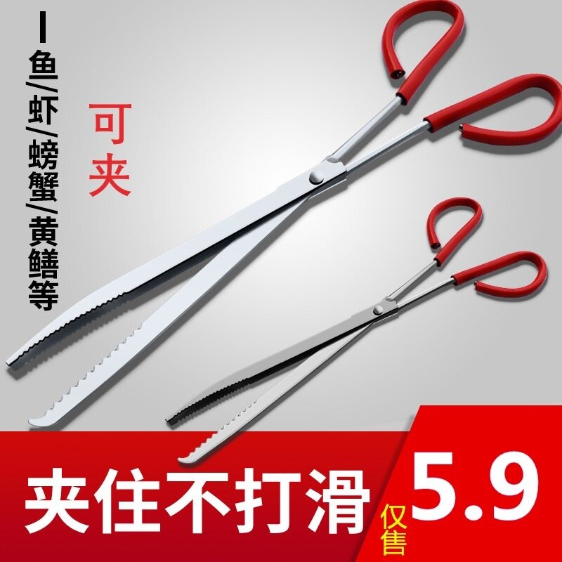 Clip eel artifact lobster catch the sea tool clip long mouth crab pliers stainless steel fish clip snake lengthened eel small