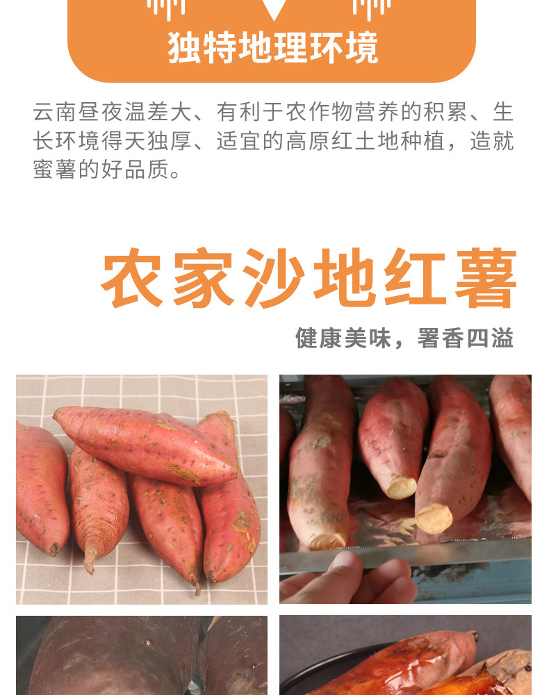 烟薯25号糖心蜜薯净*5斤 图5