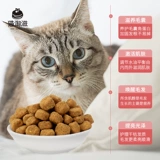 Кошка лецитин взрыв взрыв волосы красавица с яркими волосами против кожи по уходу