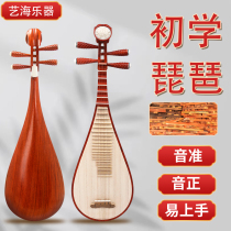 Mahogany pipa musical instrument for beginners self-taught pipa for adults special rosewood playing old material for entry-level examination